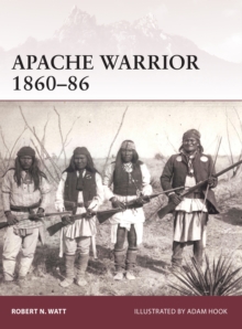 Apache Warrior 186086