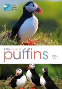RSPB Spotlight: Puffins, Paperback Book RSPB Spotlight: Puffins, Paperback Book