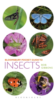 Pocket Guide to Insects, Paperback Book Pocket Guide to Insects, Paperback Book