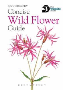 Concise Wild Flower Guide, Paperback Book Concise Wild Flower Guide, Paperback Book
