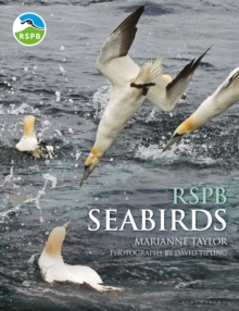 RSPB Seabirds