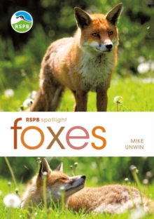 RSPB Spotlight: Foxes, Paperback Book RSPB Spotlight: Foxes, Paperback Book