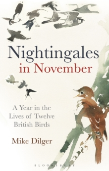 Nightingales in November : A Year in the Lives of Twelve British Birds, Hardback Book Nightingales in November : A Year in the Lives of Twelve British Birds, Hardback Book