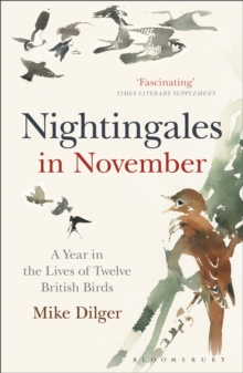 Nightingales in November : A Year in the Lives of Twelve British Birds, Paperback Book Nightingales in November : A Year in the Lives of Twelve British Birds, Paperback Book