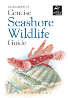 Concise Seashore Wildlife Guide, Paperback Book Concise Seashore Wildlife Guide, Paperback Book