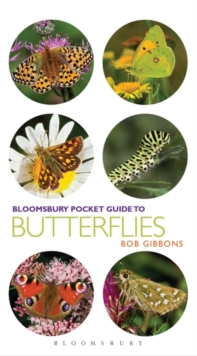 Pocket Guide to Butterflies