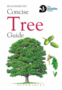 Concise Tree Guide