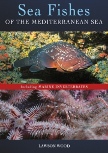Sea Fishes of the Mediterranean Including Marine Invertebrates, Paperback Book Sea Fishes of the Mediterranean Including Marine Invertebrates, Paperback Book