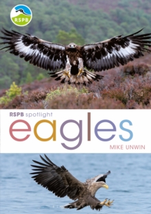 RSPB Spotlight: Eagles, Paperback Book RSPB Spotlight: Eagles, Paperback Book