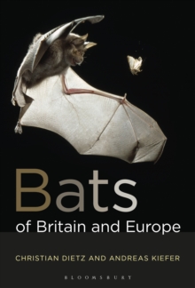 Bats of Britain and Europe, Paperback Book Bats of Britain and Europe, Paperback Book