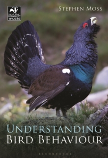 Understanding Bird Behaviour