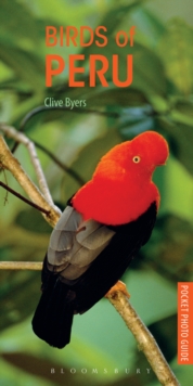 Birds of Peru, Paperback / softback Book Birds of Peru, Paperback / softback Book