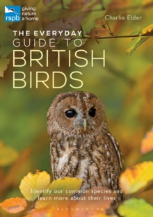 The Everyday Guide to British Birds : Identify Our Common Species and Learn More About Their Lives