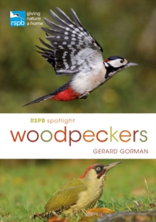 Rspb Spotlight Woodpeckers