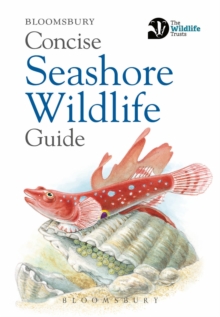 Concise Seashore Wildlife Guide