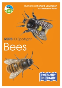 RSPB ID Spotlight - Bees