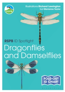 RSPB ID Spotlight - Dragonflies and Damselflies