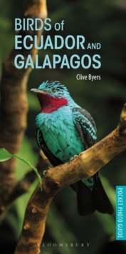 Birds of Ecuador and Galapagos, Paperback / softback Book Birds of Ecuador and Galapagos, Paperback / softback Book