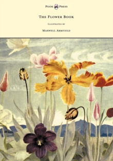 The Flower Book - Illustrated by Maxwell Armfield