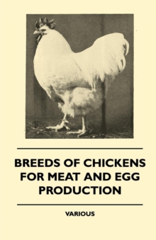 Breeds of Chickens for Meat and Egg Production