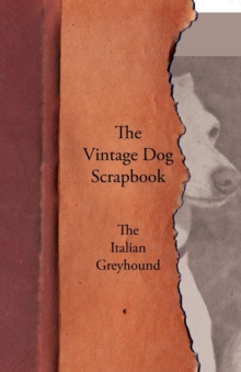 The Vintage Dog Scrapbook - The Italian Greyhound