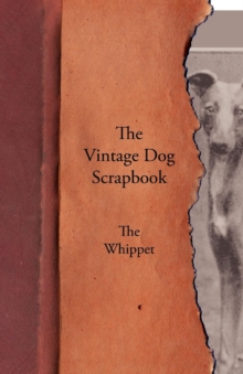 The Vintage Dog Scrapbook - The Whippet