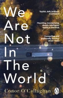 We Are Not in the World :  compelling and profoundly moving  Irish Times