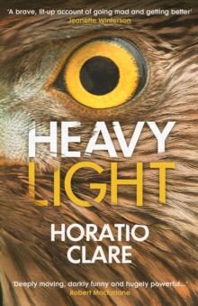Heavy Light : A Journey Through Madness, Mania and Healing, EPUB eBook Heavy Light : A Journey Through Madness, Mania and Healing, EPUB eBook