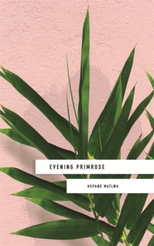 Evening Primrose, Hardback Book Evening Primrose, Hardback Book