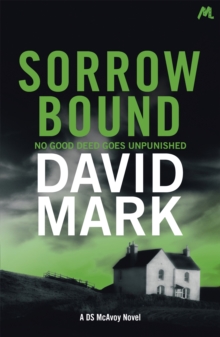 Sorrow Bound : The 3rd DS McAvoy Novel