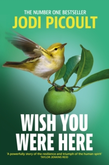 Wish You Were Here : a completely gripping, unputdownable novel from bestselling author of Mad Honey