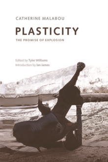 Plasticity : The Promise of Explosion