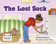 The Lost Sock