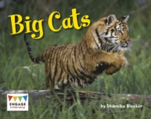 Big Cats