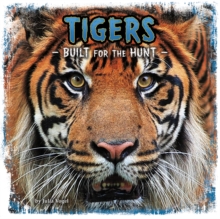 Tigers : Built for the Hunt, Paperback Book Tigers : Built for the Hunt, Paperback Book