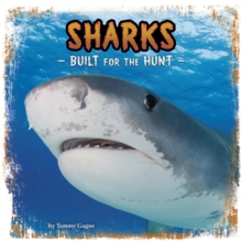 Sharks : Built for the Hunt, Paperback / softback Book Sharks : Built for the Hunt, Paperback / softback Book