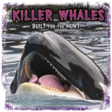 Killer Whales : Built for the Hunt, Paperback Book Killer Whales : Built for the Hunt, Paperback Book