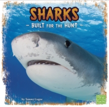 Sharks : Built for the Hunt