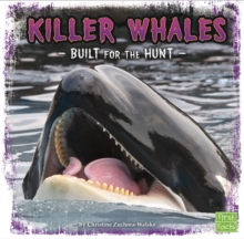 Killer Whales : Built for the Hunt