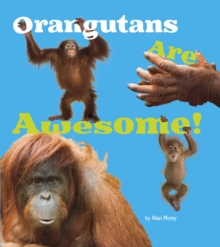 Orangutans are Awesome!, Hardback Book Orangutans are Awesome!, Hardback Book