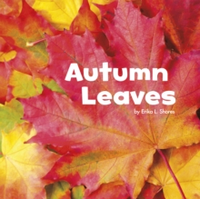 Autumn Leaves, Hardback Book Autumn Leaves, Hardback Book