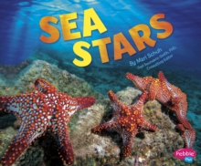 Starfish, Paperback Book Starfish, Paperback Book