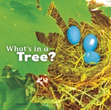 What's in a Tree?, Hardback Book What's in a Tree?, Hardback Book