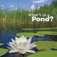 What's in a Pond?, Paperback / softback Book What's in a Pond?, Paperback / softback Book