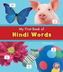 Hindi Words, Paperback Book Hindi Words, Paperback Book