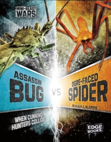 Assassin Bug vs Ogre-Faced Spider : When Cunning Hunters Collide