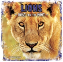 Lions : Built for the Hunt