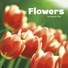 Flowers, Paperback Book Flowers, Paperback Book