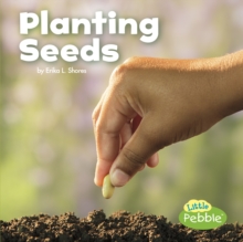 Planting Seeds, Paperback / softback Book Planting Seeds, Paperback / softback Book