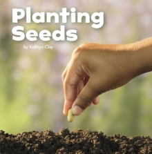 Planting Seeds